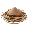 Guduchi