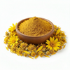Arnica