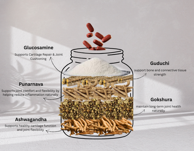 Anaysha Pharma Glucosamine